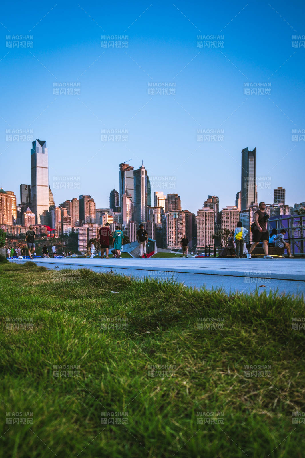 城市天際線與綠地相映