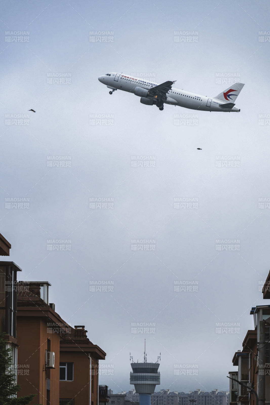 飛機低空飛過城市上空