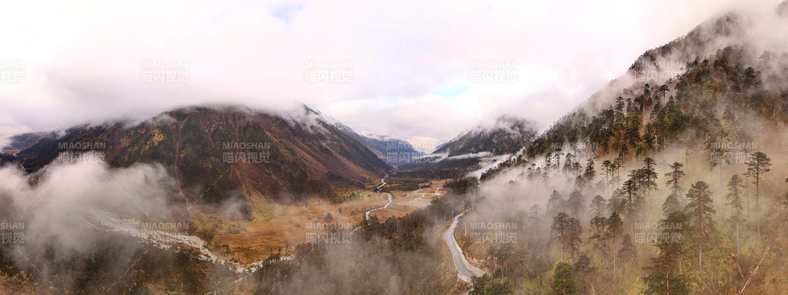 墨脫縣波墨公路云霧繚繞的山谷風光