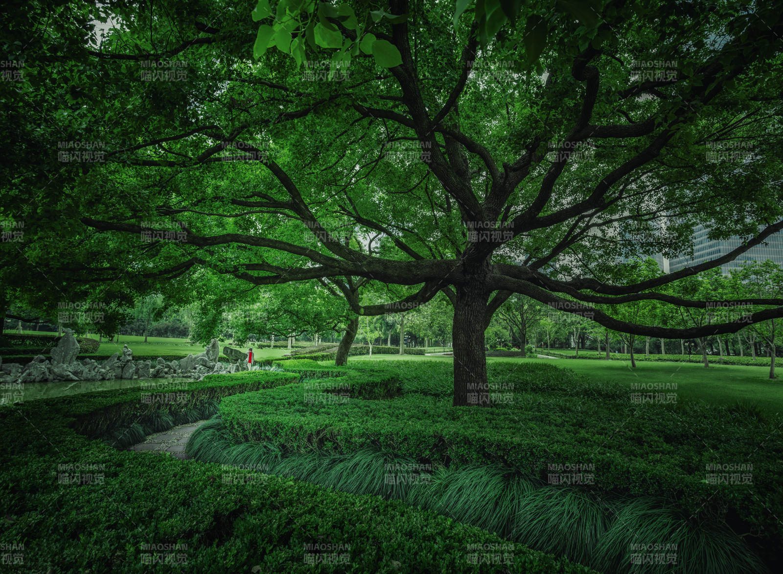 綠意盎然的公園一角