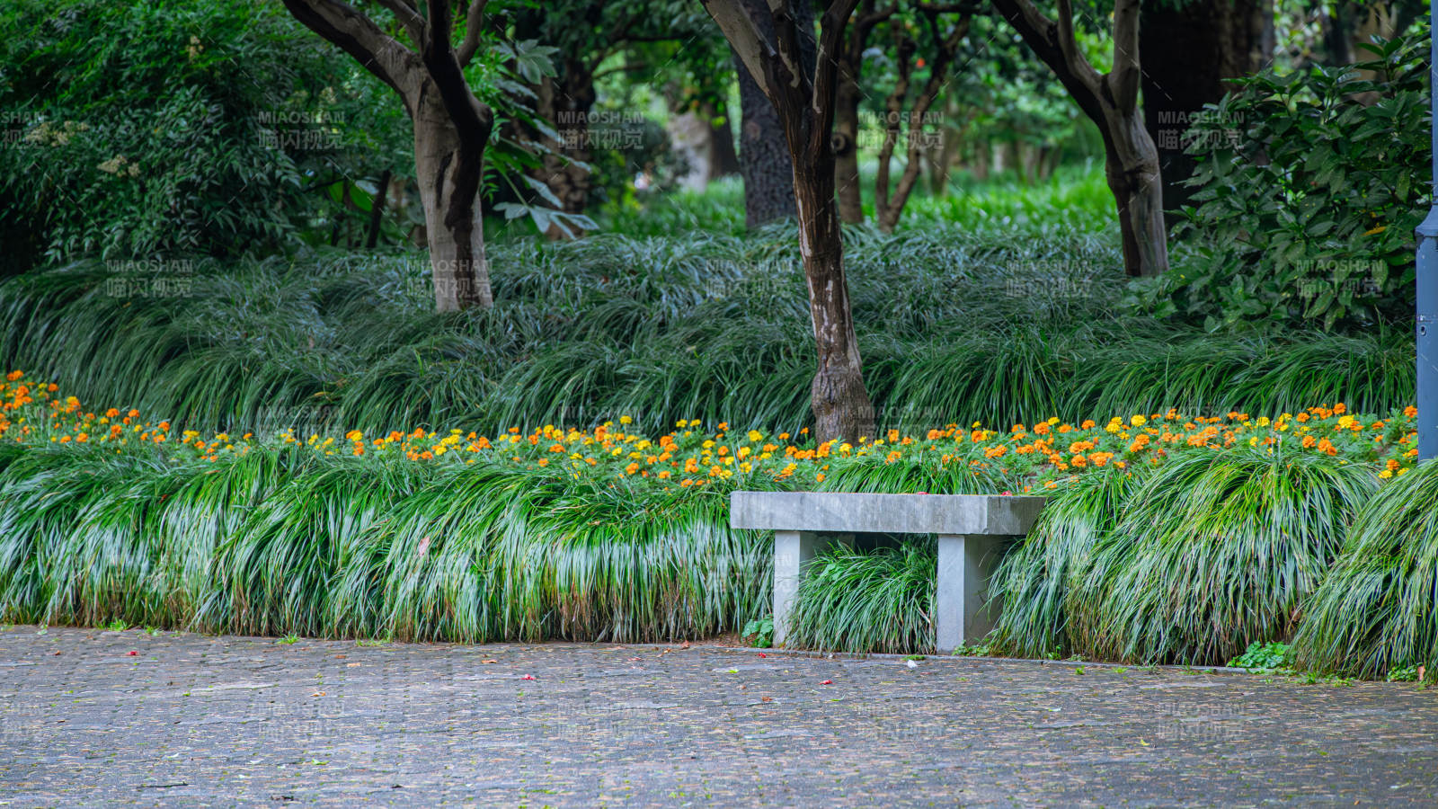 公園長椅旁的花叢美景