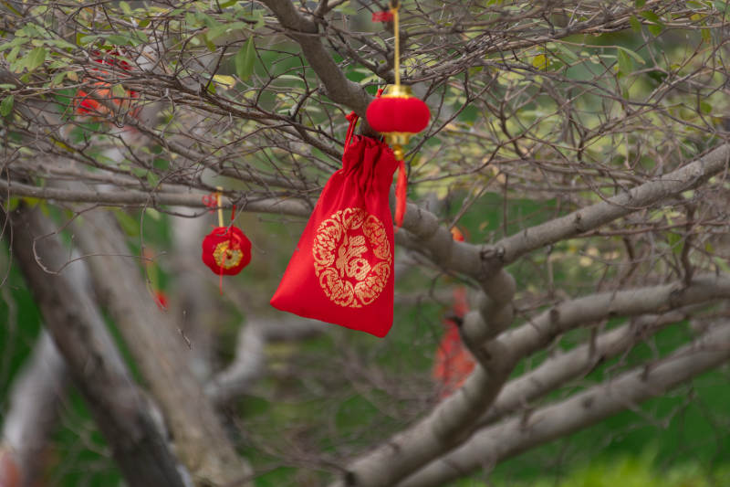 樹上掛紅袋 喜慶迎新春