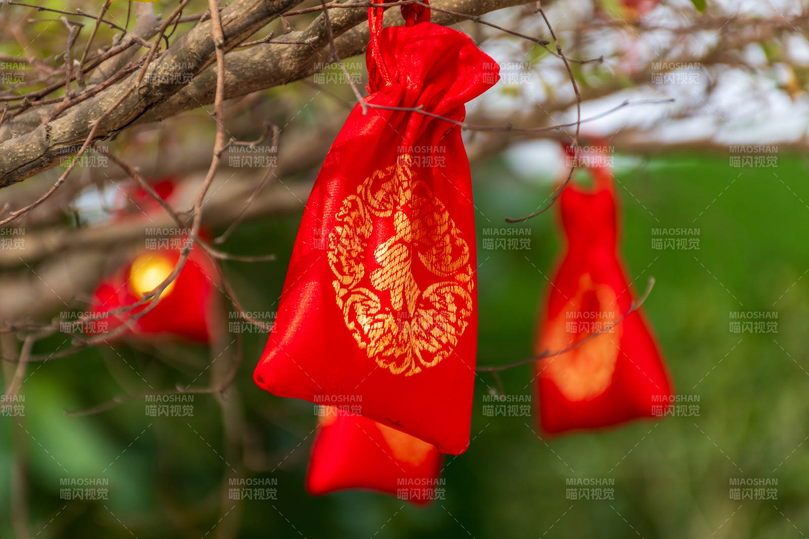 樹上懸掛的紅色福袋