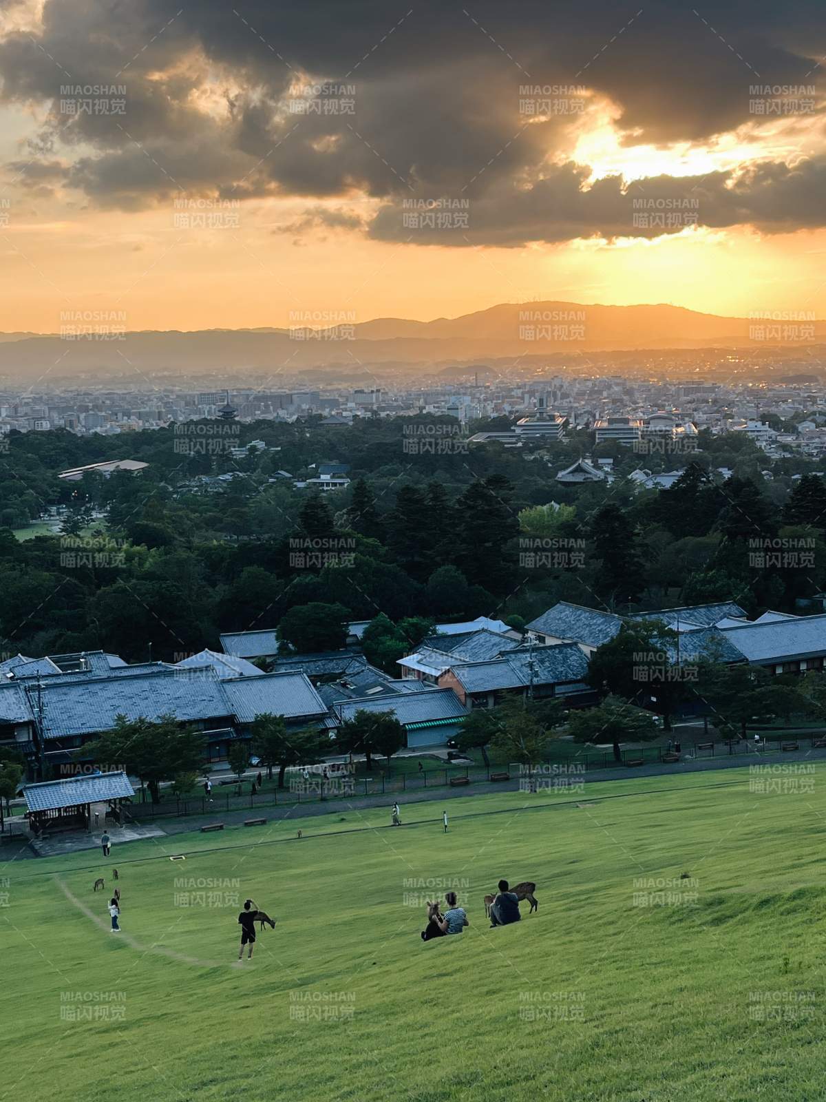 夕陽下的城市與綠地