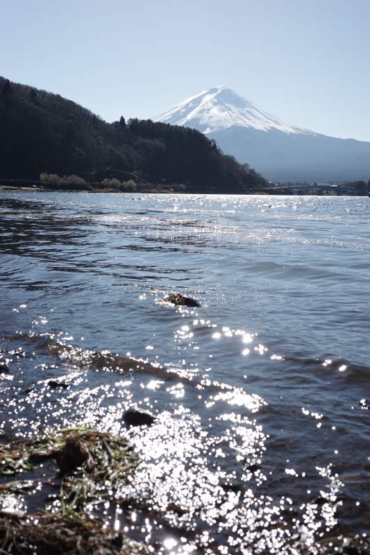 富士山下的湖光山色