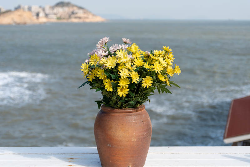 海边花瓶 静谧时光