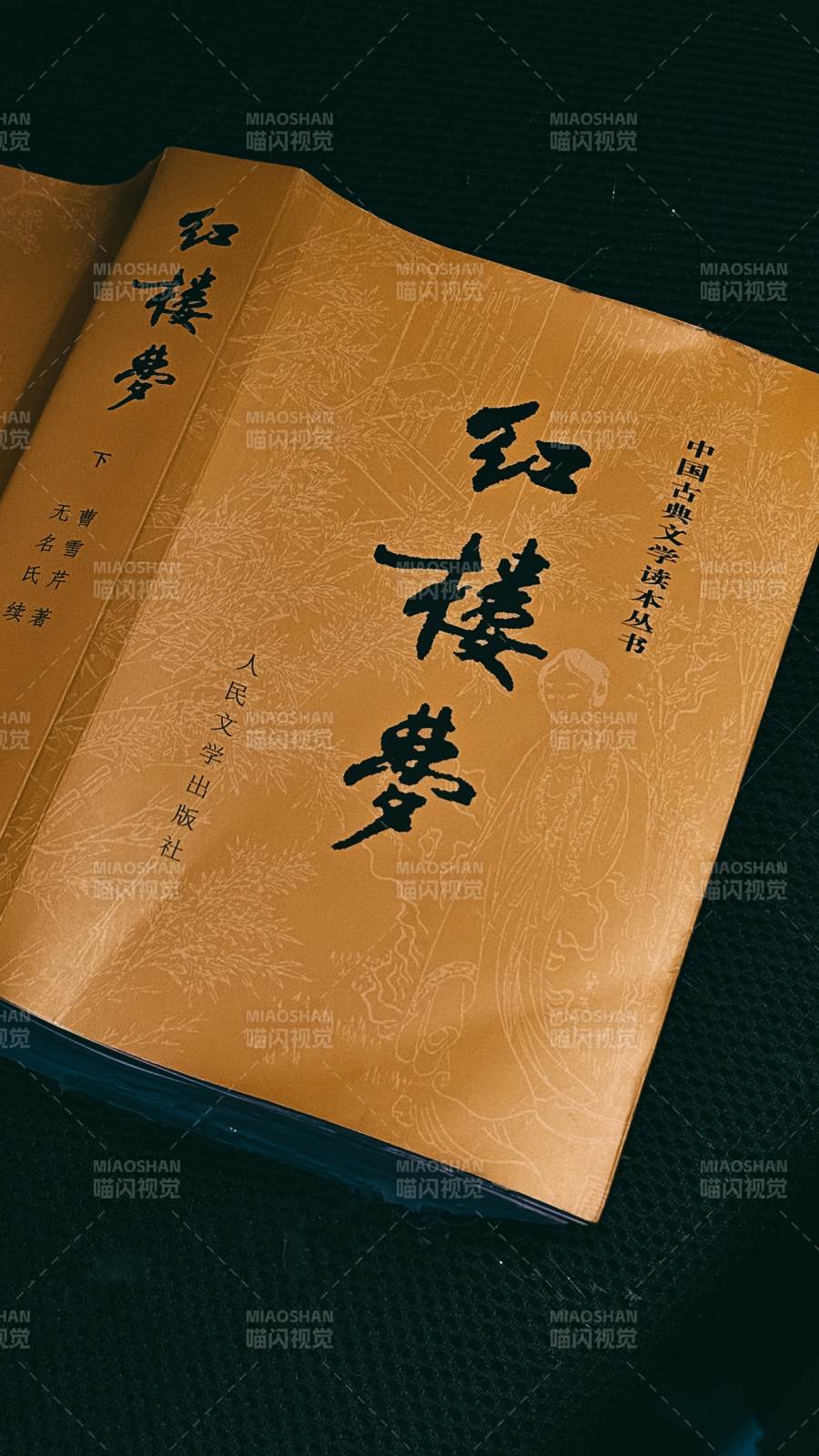紅樓夢 古典文學(xué)讀本