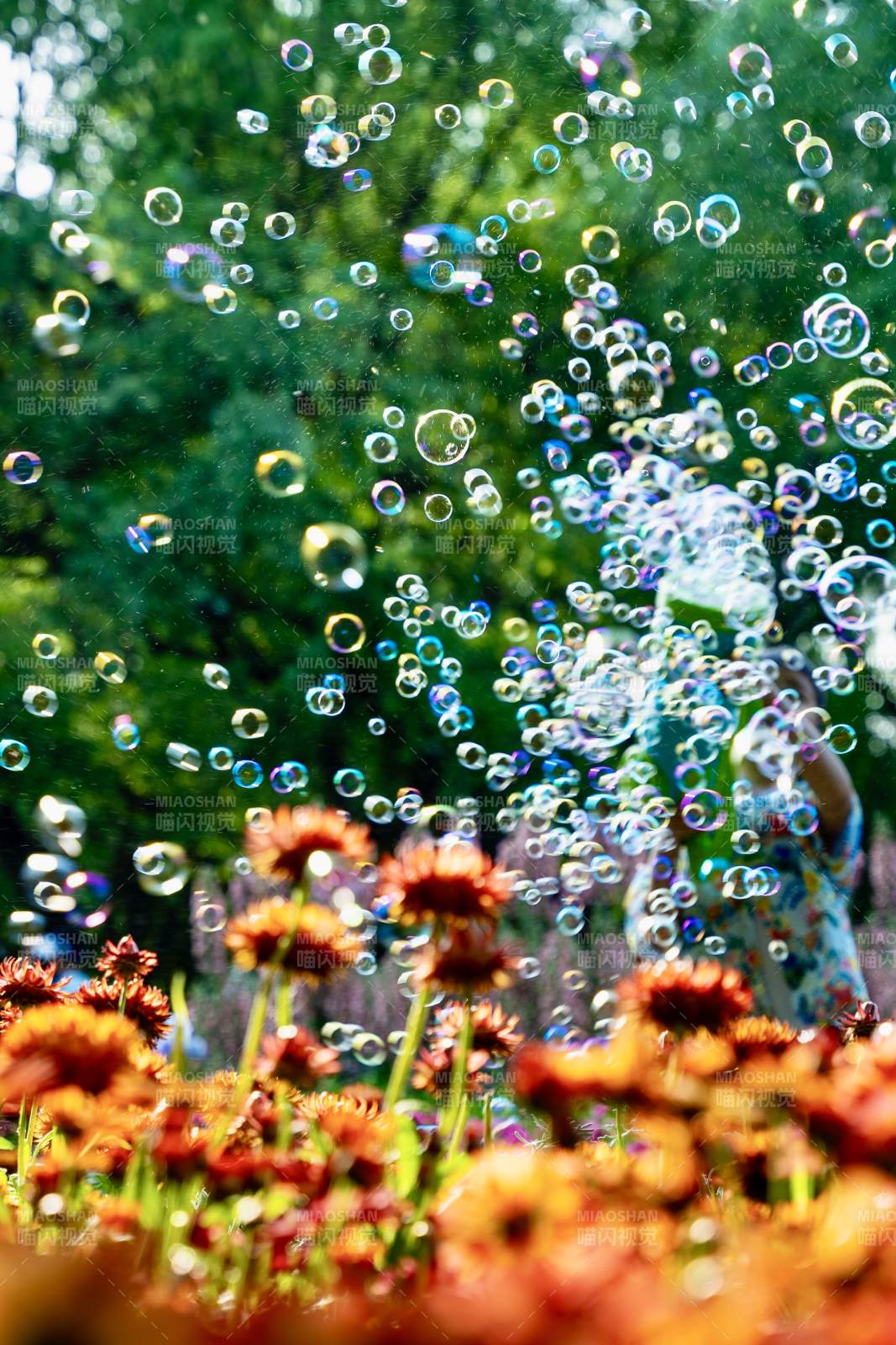 泡泡花園里的夏日時光