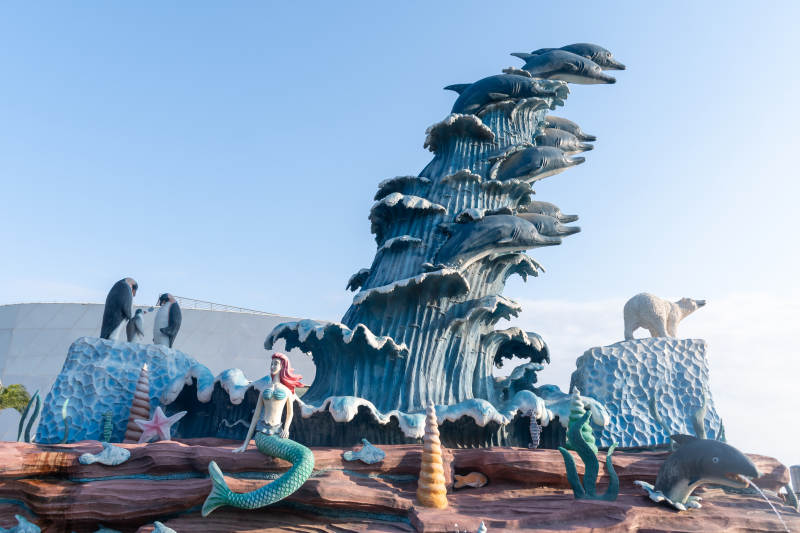 福州海洋奇景 海豚与美人鱼