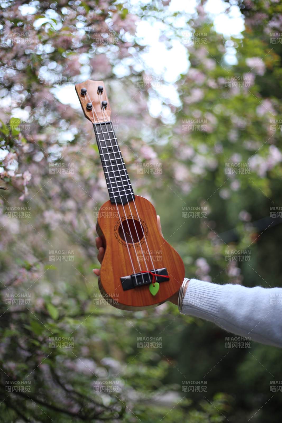 櫻花樹下的尤克里里