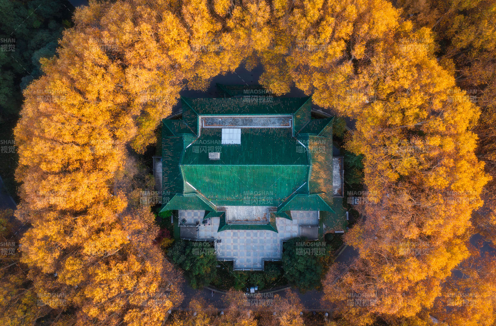 秋林環繞古建筑