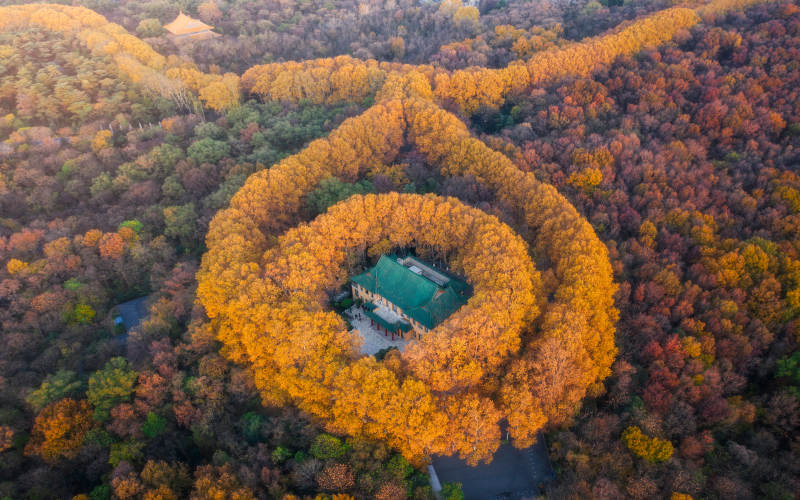 秋林环绕古宅景致