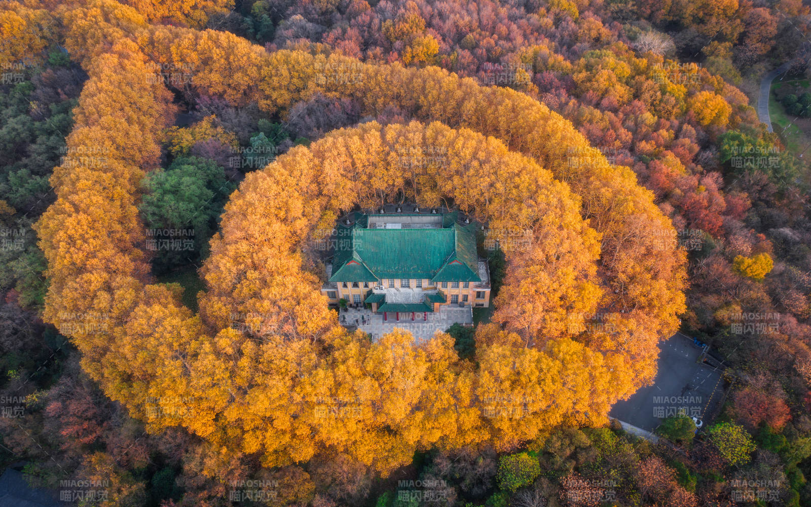 秋林環繞古建筑