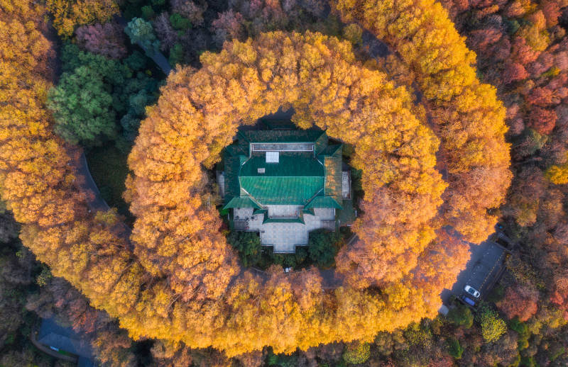 秋林环绕古建筑