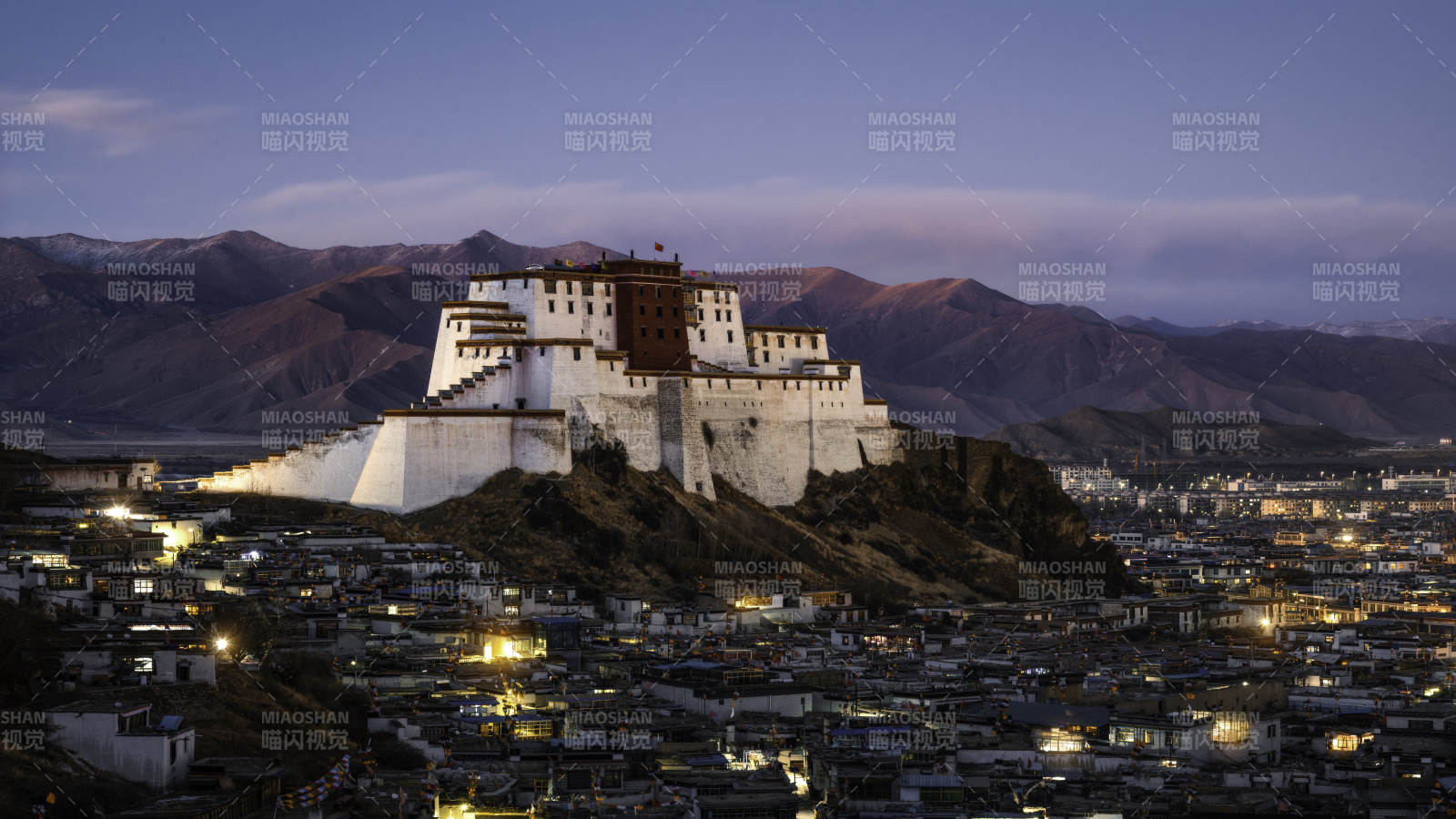 布達(dá)拉宮夜景