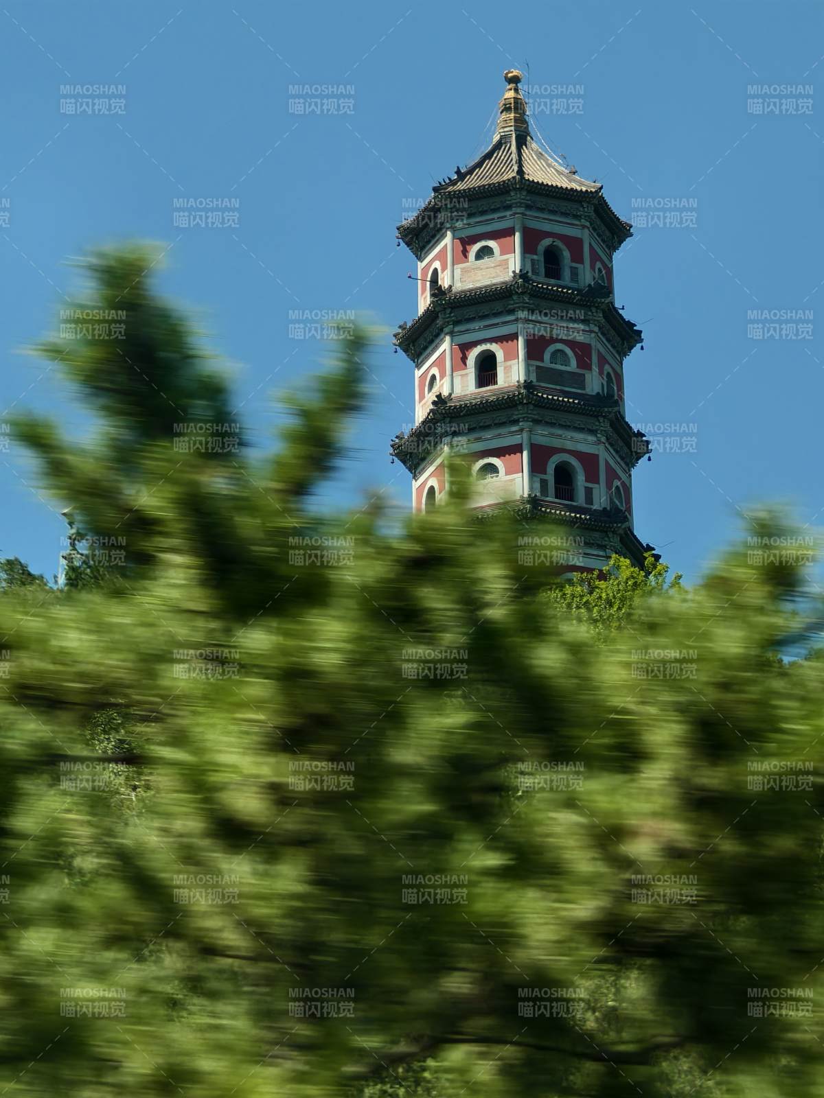 北塢公園古塔綠樹映藍天