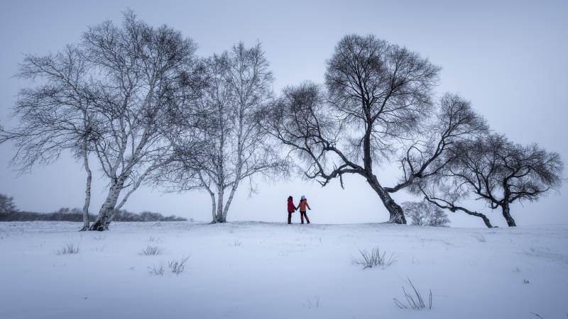 冬日雪景 兩人漫步樹下