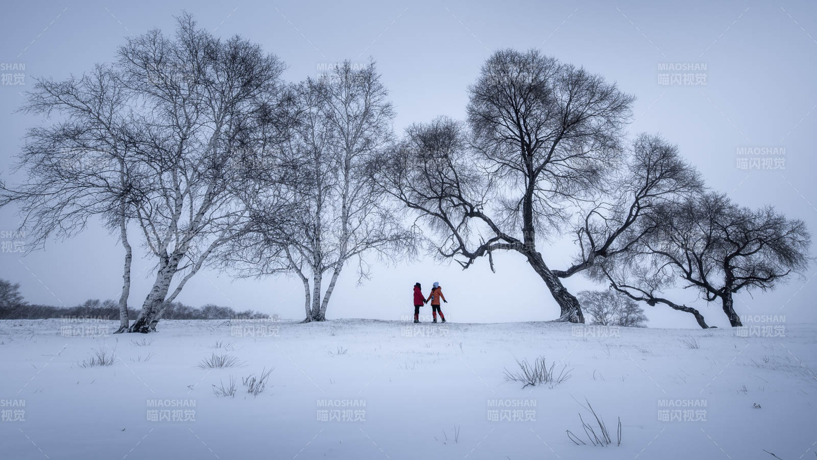冬日雪景 兩人漫步樹下