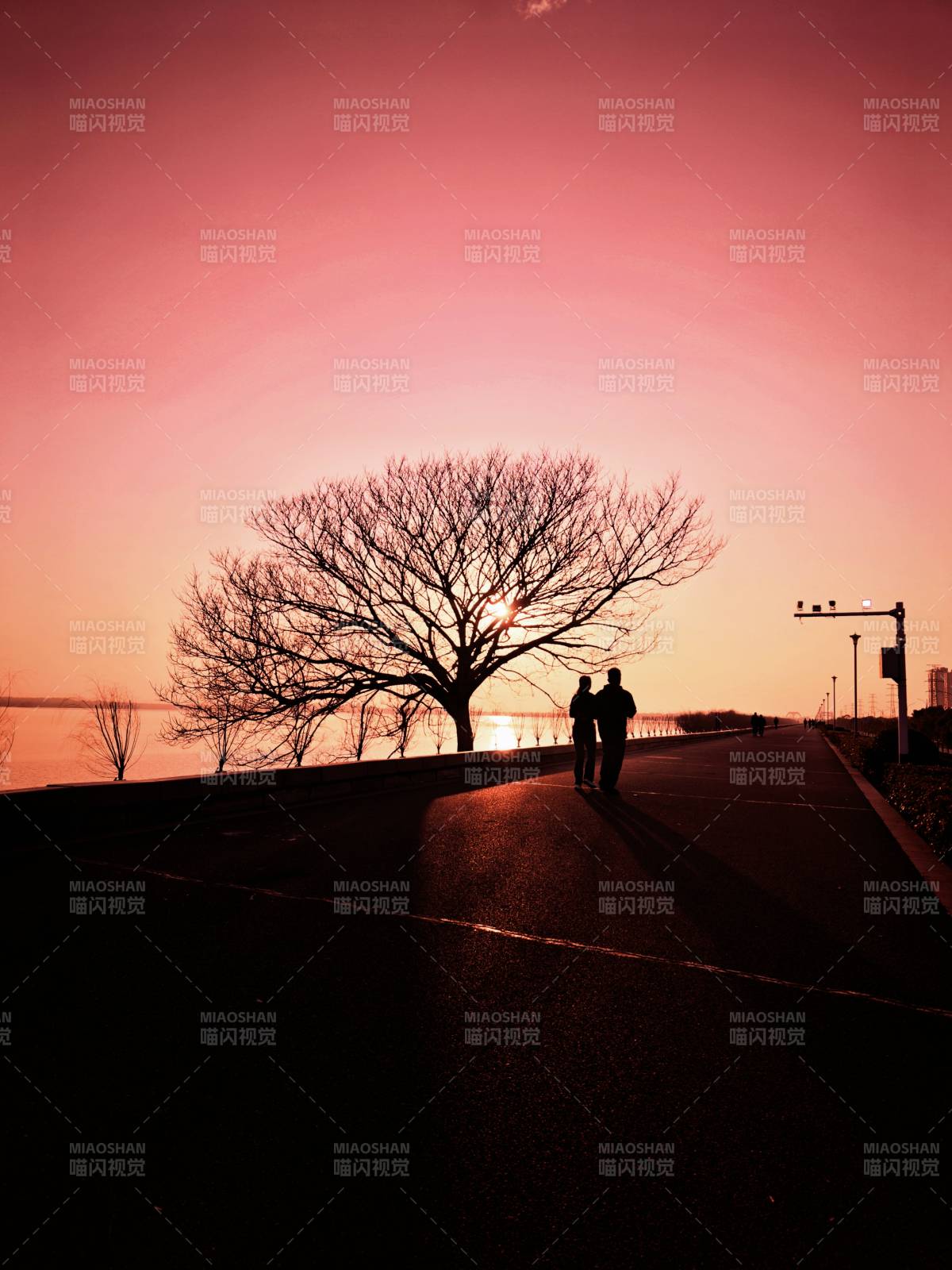 夕陽下的漫步時光