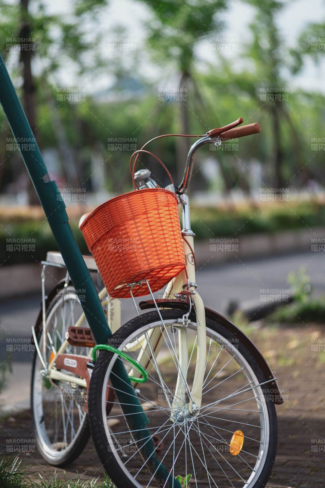 橙籃自行車 靜謐公園景