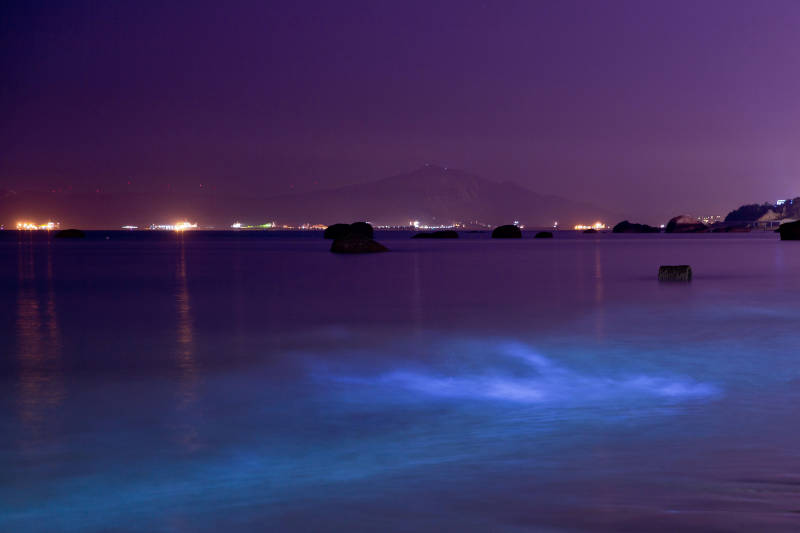 夜光海面 神秘藍光閃耀