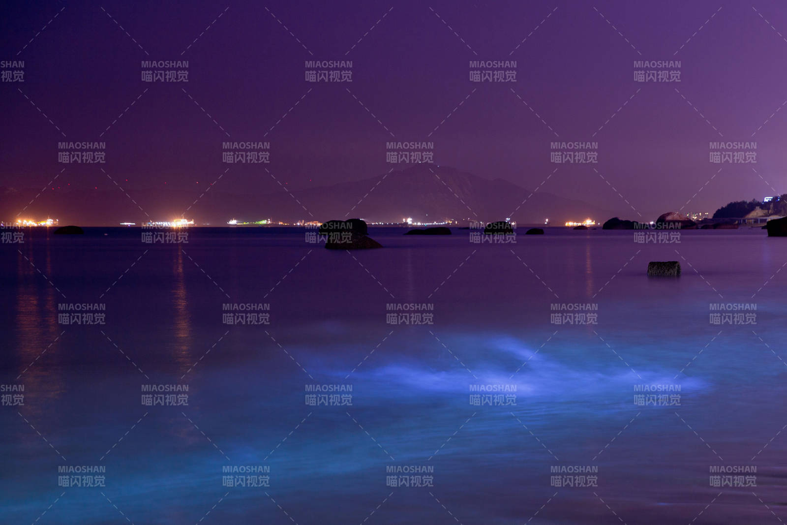 夜光海面 神秘藍光閃耀
