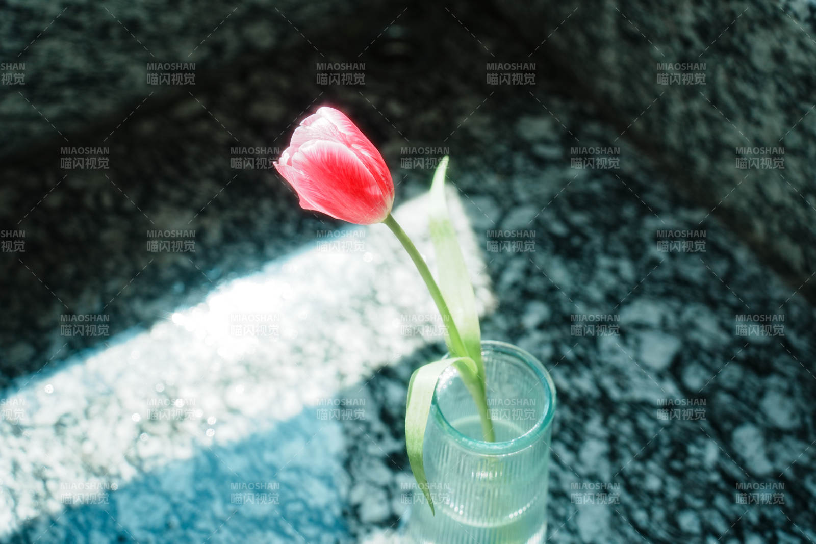 孤花靜影 心之獨語