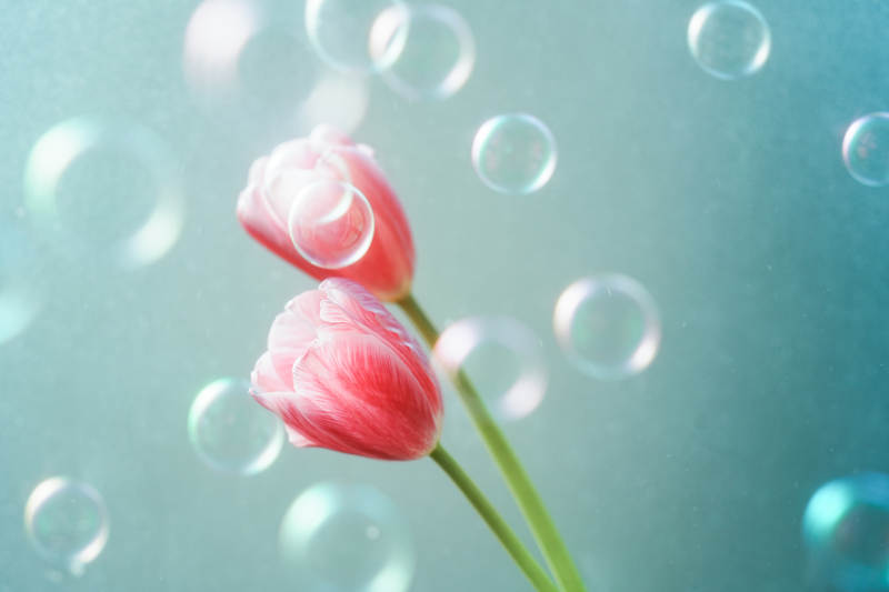 花間泡泡 夢幻時光