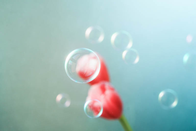 泡泡與紅花的夢幻瞬間