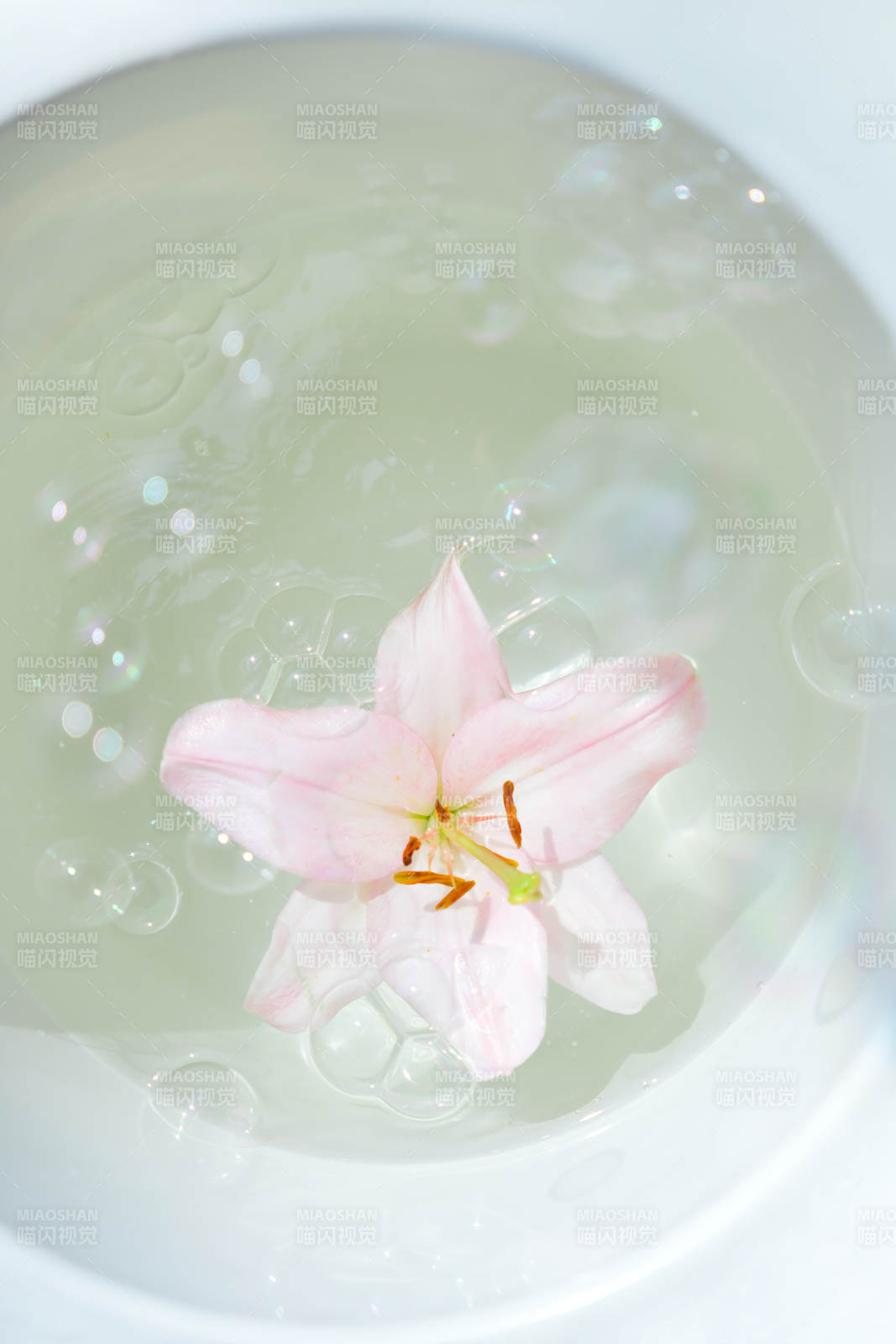 水中花影 靜謐之美