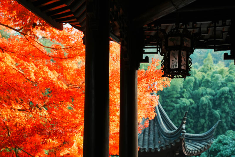 秋色古寺 紅葉映輝