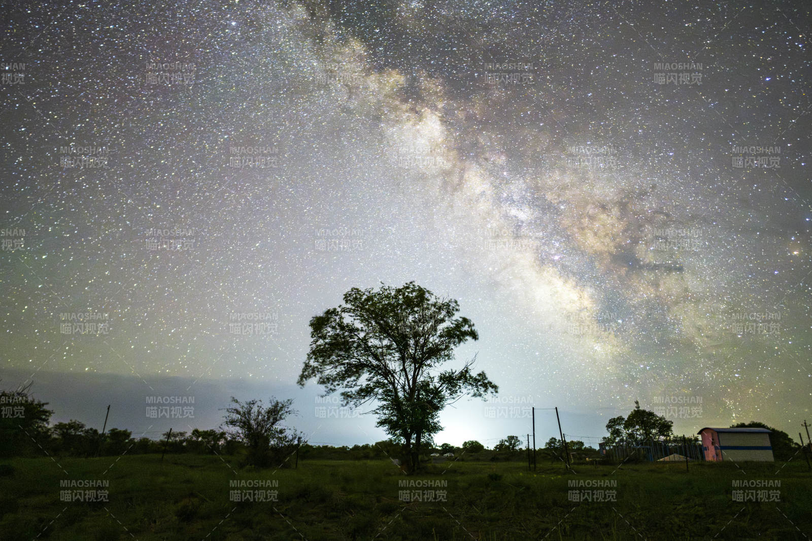 星空下的孤樹與銀河