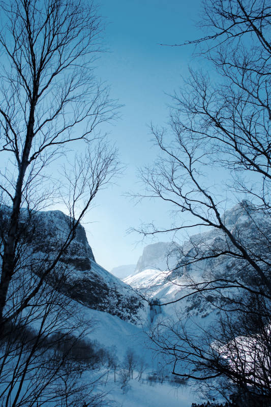 長白山冬日山谷 靜謐雪景