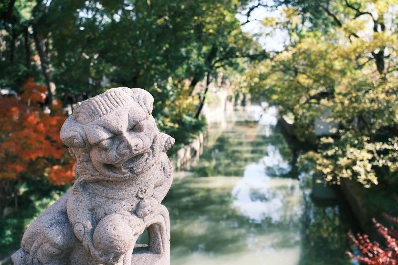 虎丘石獅守望 綠樹成蔭