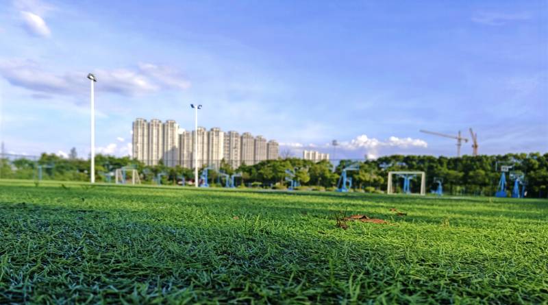 城市綠地與高樓遠(yuǎn)景