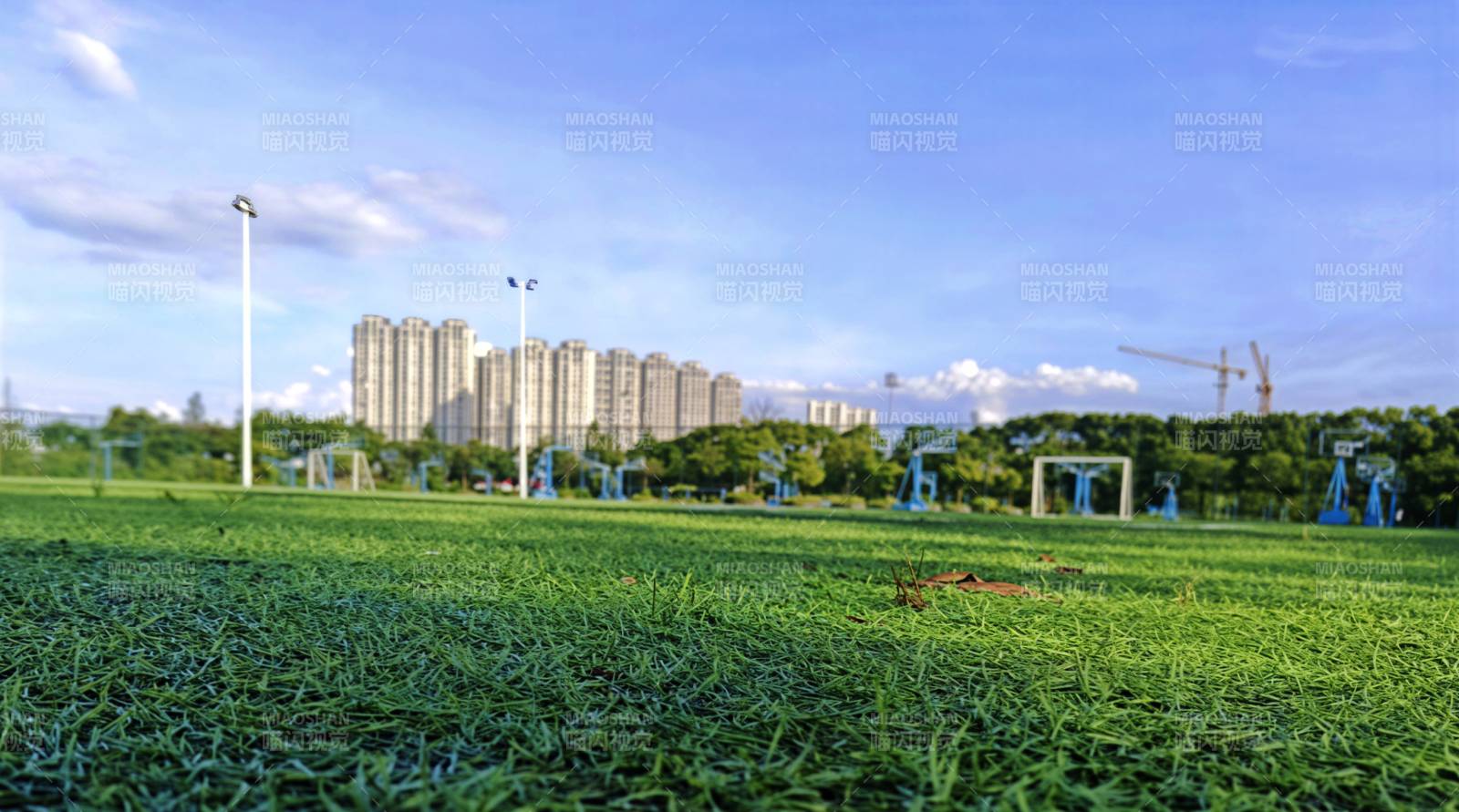 城市綠地與高樓遠景