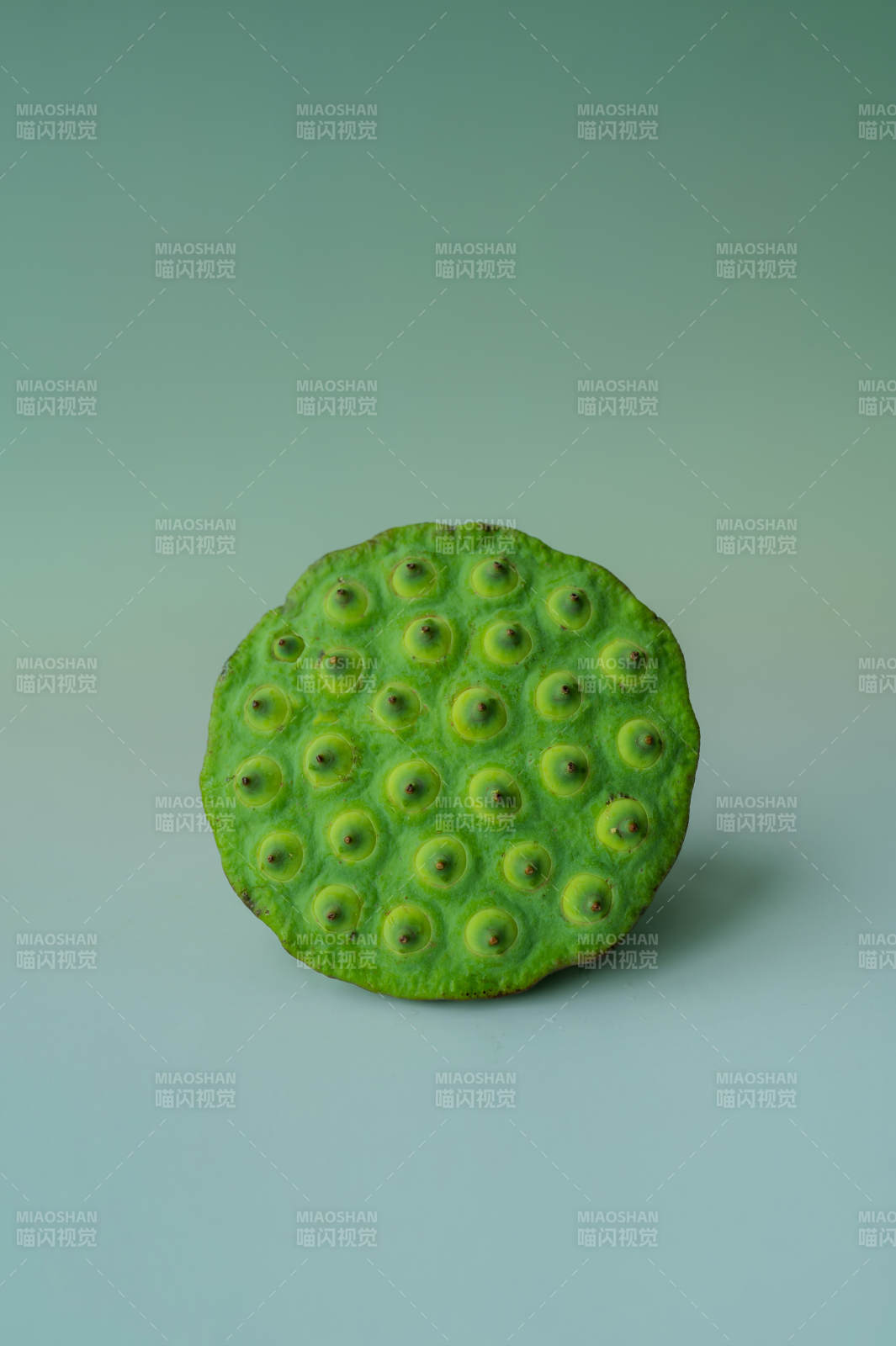 綠色蓮蓬的特寫鏡頭