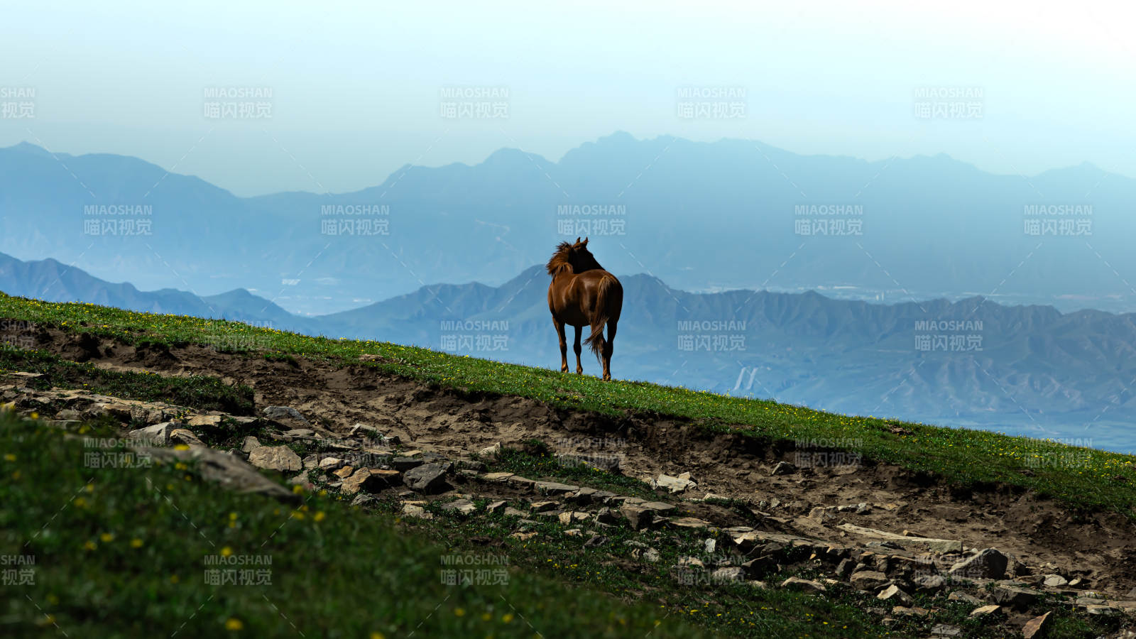山巔孤馬望遠山 東靈山