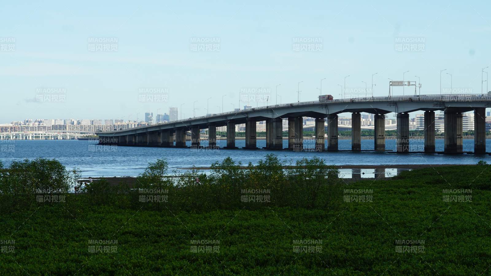 廈門跨海大橋與綠植前景