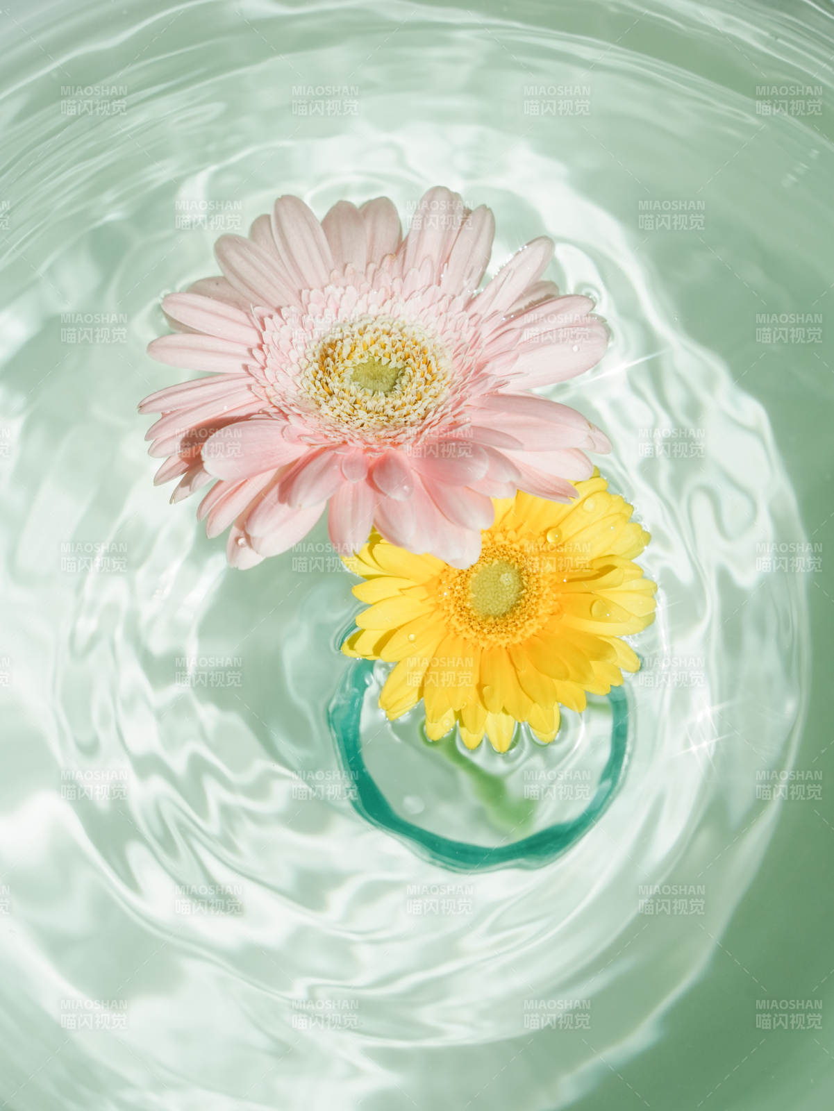 水中花影 靜謐之美
