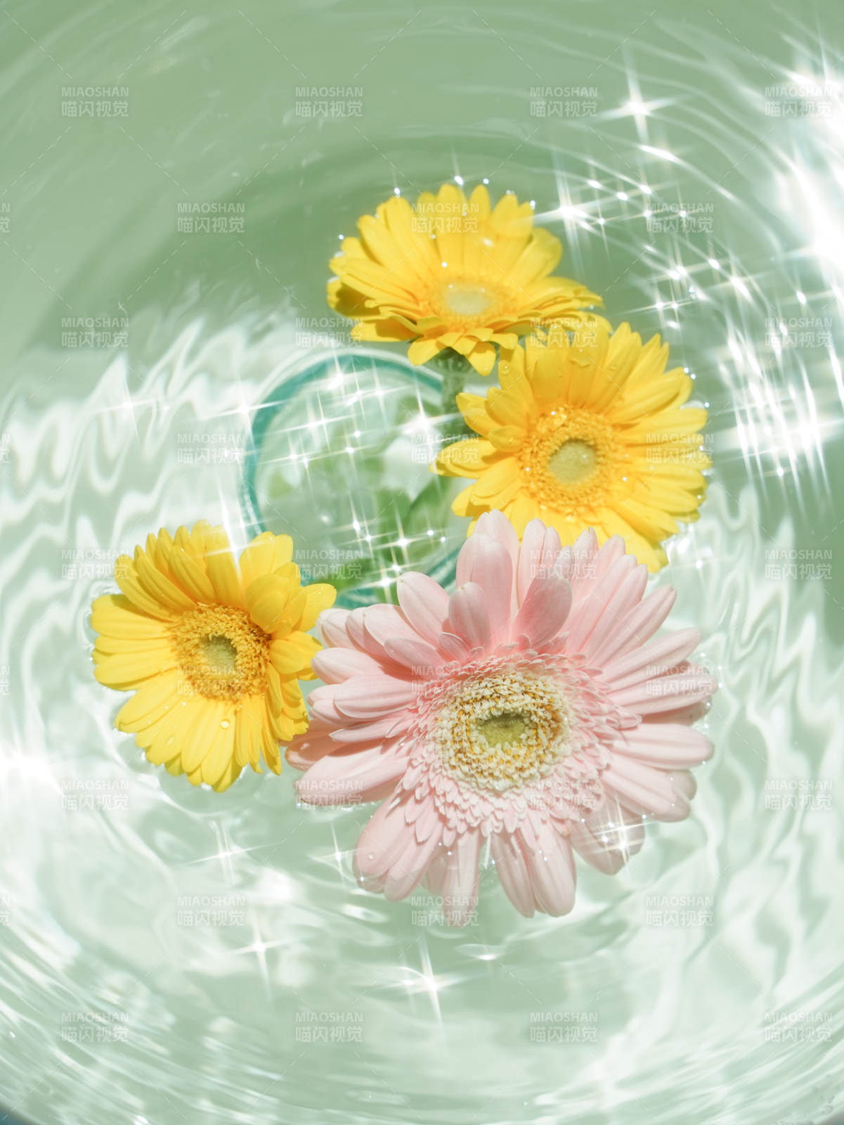 水中花影 清新綻放