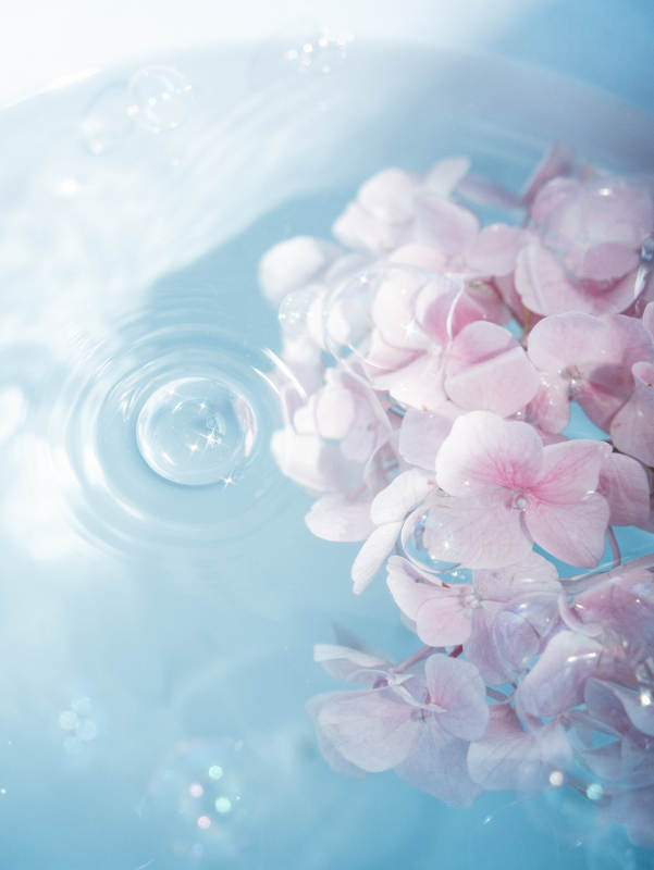 水中的粉色花瓣