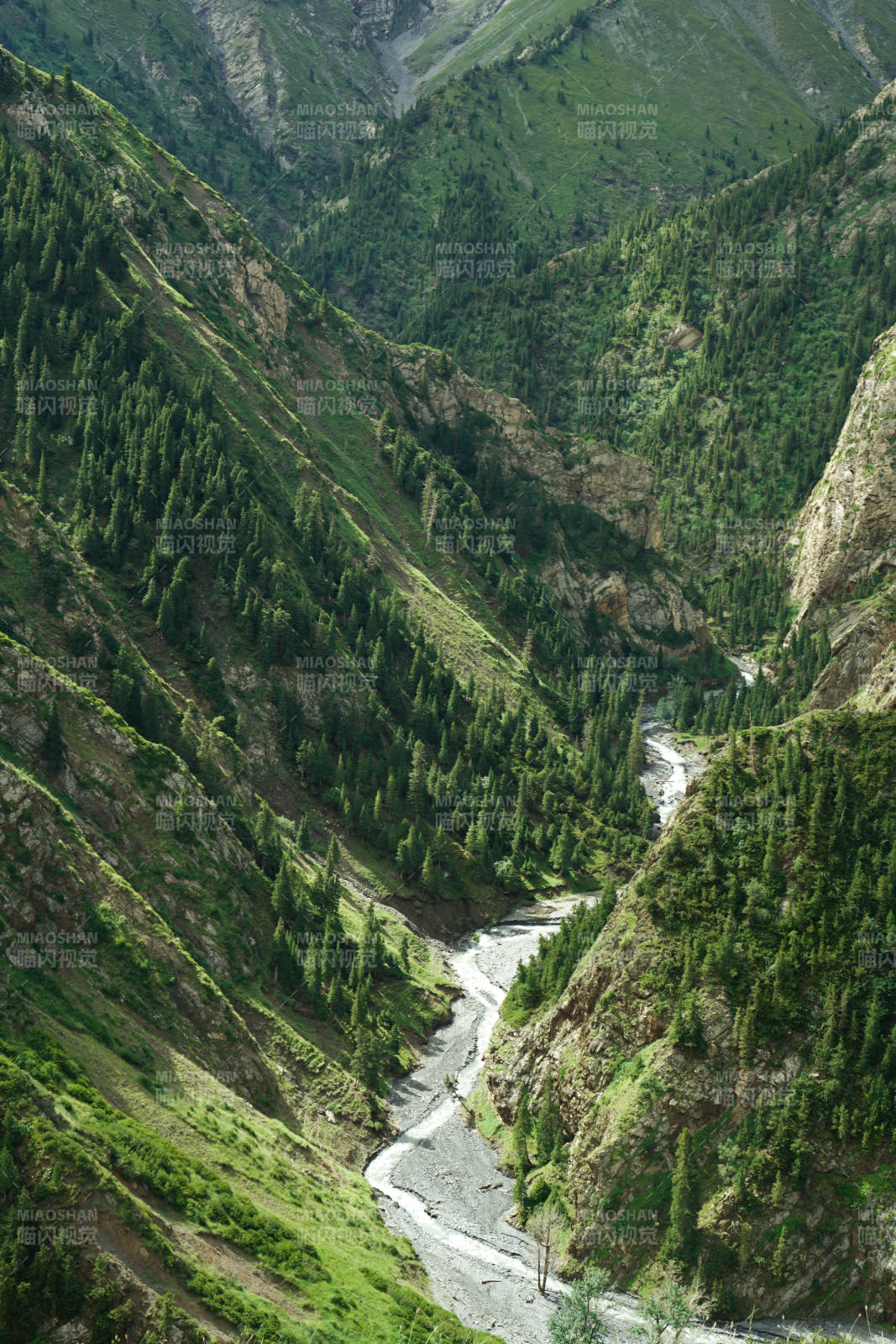 高聳山脈 山谷溪流