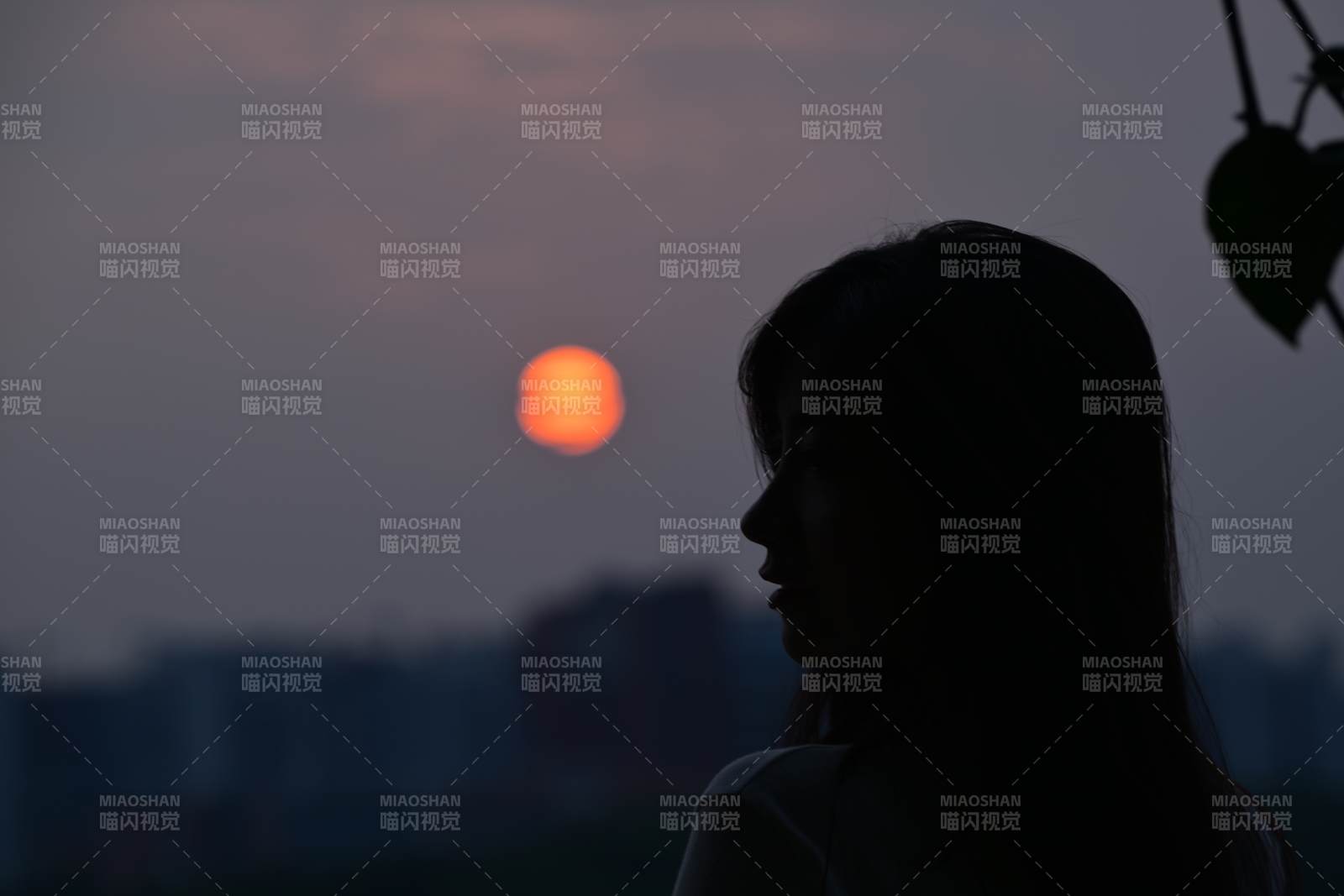 夕陽下的沉思
