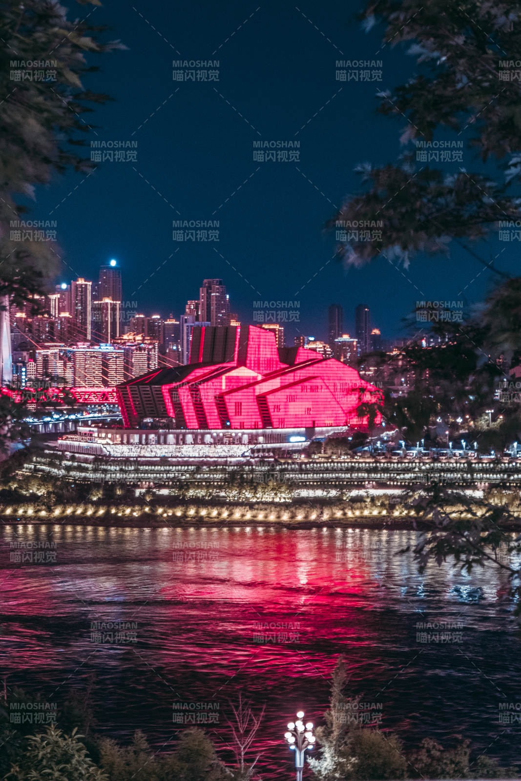重慶大劇院夜景