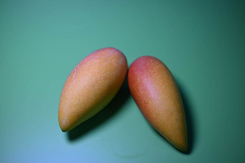 雙芒果靜物圖
