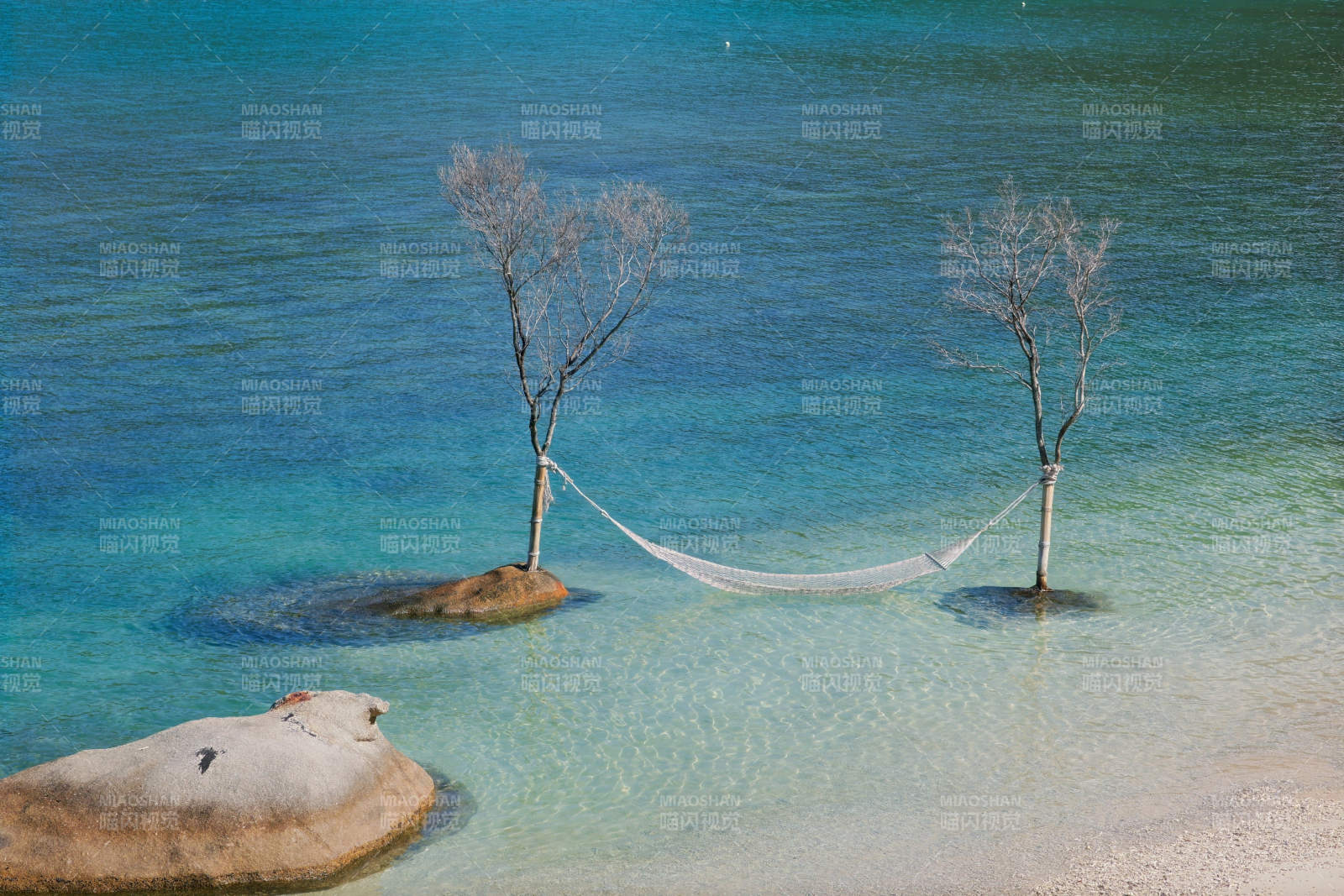 海中樹與吊床的寧靜時光