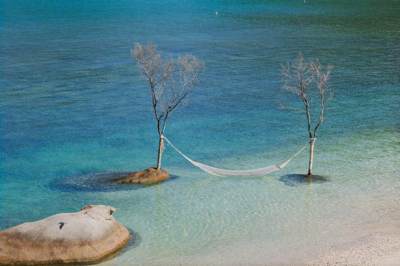 海中樹與吊床的寧靜時光