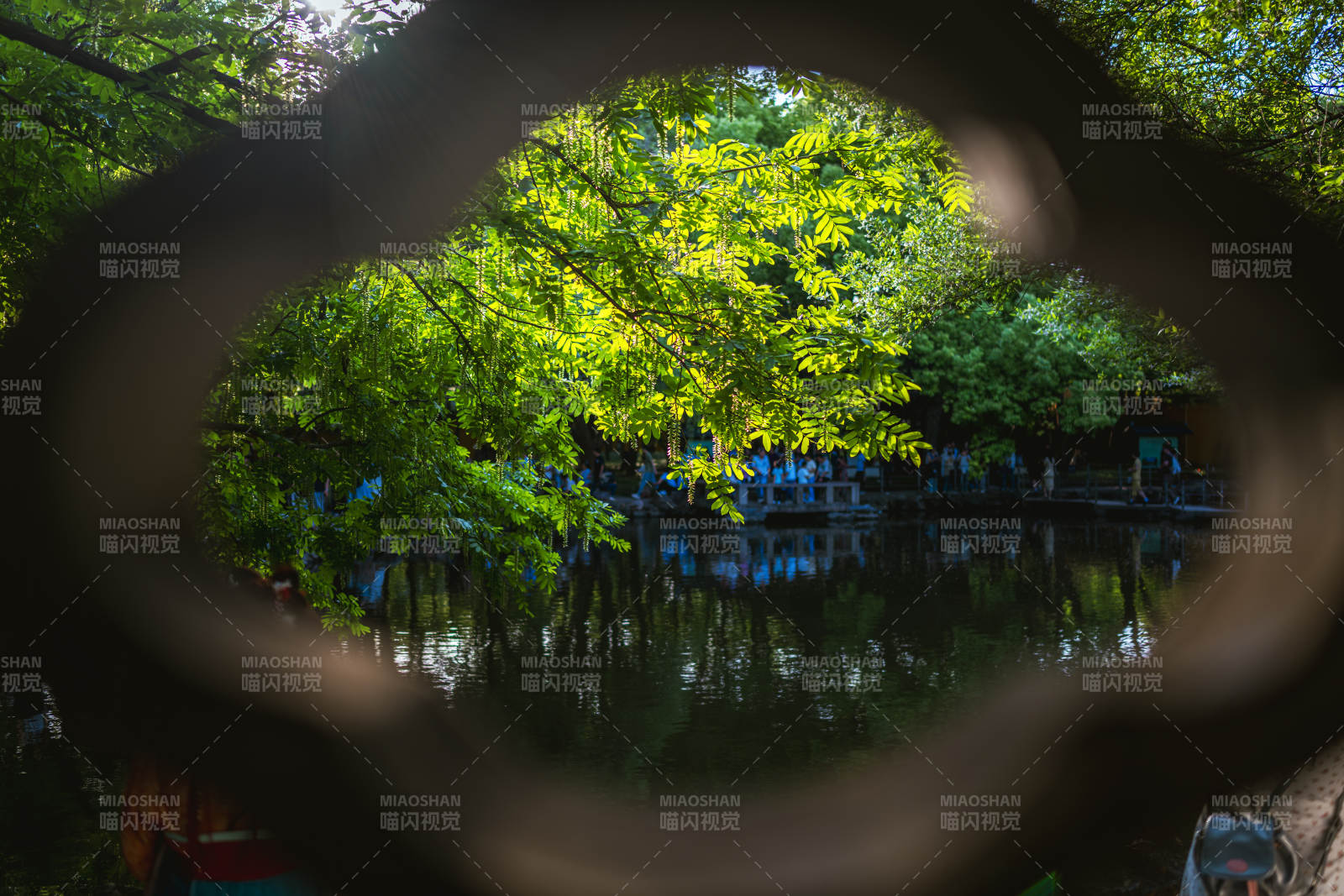 西園寺庭院綠意景色