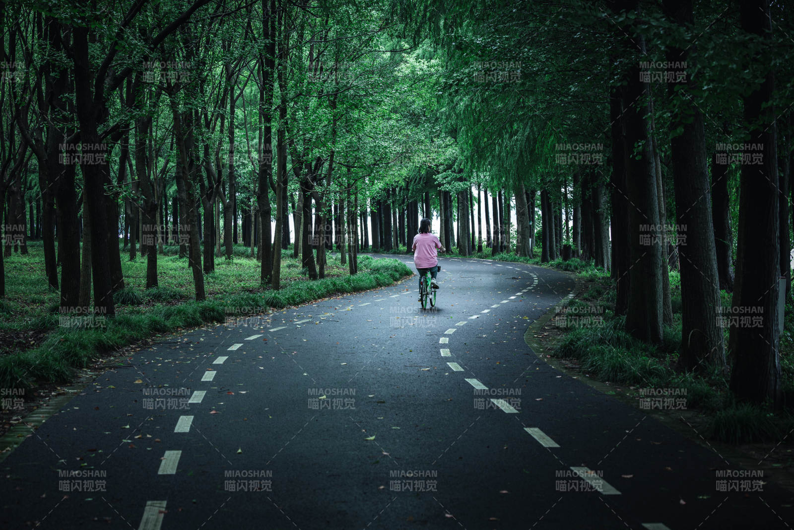 林間小徑單車行